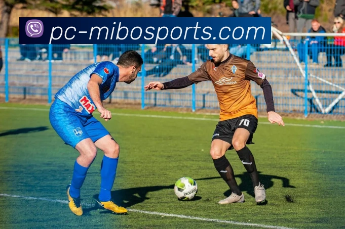 体育下注发展历程