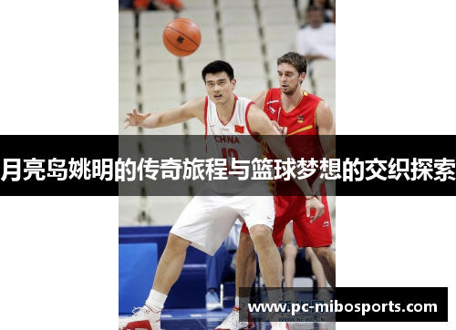月亮岛姚明的传奇旅程与篮球梦想的交织探索